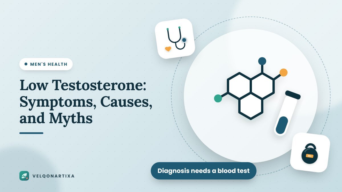 Illustration of a testosterone hormone molecule and a blood test tube